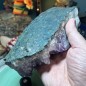 Brasilianischer Amethyst – Helle Farbe mit etwas Titandioxid – Gewicht: 1742 Gramm