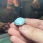 Iranian Neyshabur Turquoise old stock- old layers Stabilized only weight 69.65 ct