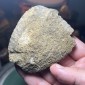 Groupe d’améthystes d’Uruguay – Lustre excellent, qualité supérieure – Poids : 146.60 grammes