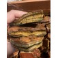 非洲虎眼石混合物 - 按重量计
