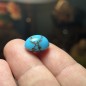 Iranischer Neyshabur-Türkis – Alte Lagerung, alte Schichten – Nur stabilisiert – Gewicht 12.85 ct Iranischer Neyshabur-Türkis – Alte Lagerung, alte Schichten – Nur stabilisiert – Gewicht 12.85 ct