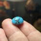 Iranian Neyshabur Turquoise old stock- old layers Stabilized only weight 12.85 ct