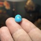 Iranian Neyshabur Turquoise old stock- old layers Stabilized only weight 12.85 ct