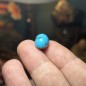 Turquoise iranienne de Neyshabur – Stock ancien, couches anciennes – Stabilisée uniquement – Poids  12.85 ct