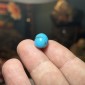 Iranian Neyshabur Turquoise old stock- old layers Stabilized only weight 12.85 ct