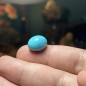 Iranian Neyshabur Turquoise old layers Stabilized only weight 13.25 ct