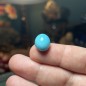 Turquoise iranienne de Neyshabur – Stock ancien, couches anciennes – Stabilisée uniquement – Poids  13.25 ct