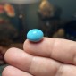 Iranian Neyshabur Turquoise old layers Stabilized only weight 13.25 ct