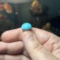 Turquoise iranienne de Neyshabur – Stock ancien, couches anciennes – Stabilisée uniquement – Poids  13.25 ct