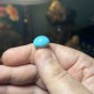 Iranian Neyshabur Turquoise old layers Stabilized only weight 13.25 ct