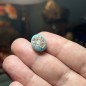 Turquesa Iraniana de Neyshabur – Estoque antigo, camadas antigas – Apenas estabilizada – Peso 13.25 ct Turquesa Iraniana de Neyshabur – Estoque antigo, camadas antigas – Apenas estabilizada – Peso 13.25 ct