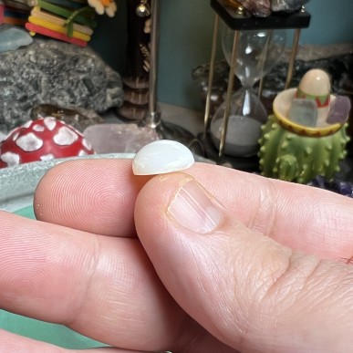 %shop-name%%separator%%product-name%%price%