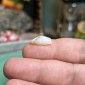 無処理の天然ブラジル産オパール – 重量 4.45カラット