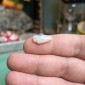 無処理の天然ブラジル産オパール – 重量 4.45カラット