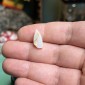 Natürliche brasilianische Opale ohne jegliche Behandlung – Gewicht 4.45 ct