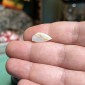 Natürliche brasilianische Opale ohne jegliche Behandlung – Gewicht 4.45 ct