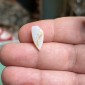Natürliche brasilianische Opale ohne jegliche Behandlung – Gewicht 4.45 ct