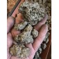 Pyrit ohne Wirtsgestein Brasilien - nach dem Gewicht