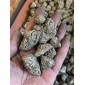 无主岩的黄铁矿 巴西 - 按重量计算