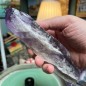 Натуральный бразильский аметист необработанный длинный кристалл - Вес 438 граммов