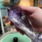 Natuurlijke Braziliaanse amethist onbewerkt lange kristal - Gewicht 862 gram