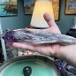 Natürlicher brasilianischer Amethyst unbehandelt langer Kristall - Gewicht 708 Gramm