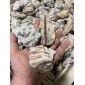 巴西红碧玺与白水晶 - 按重量计算