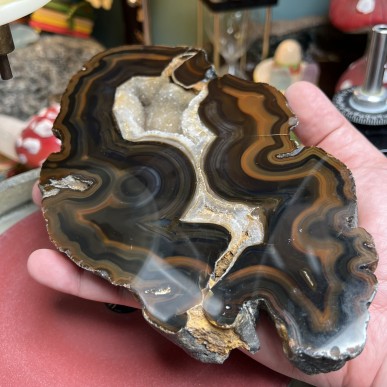 Brazilian Agate thick Slice - Natural Untreated - Weight 1159 Grams - AU016