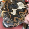 Brazilian Agate thick Slice - Natural Untreated - Weight 1159 Grams - AU016