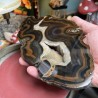 Brazilian Agate thick Slice - Natural Untreated - Weight 1159 Grams - AU016
