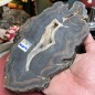 Brazilian Agate thick Slice - Natural Untreated - Weight 1159 Grams - AU016
