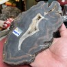 Brazilian Agate thick Slice - Natural Untreated - Weight 1159 Grams - AU016