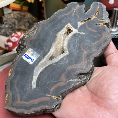 Brazilian Agate thick Slice - Natural Untreated - Weight 1159 Grams - AU016