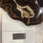 Brazilian Agate thick Slice - Natural Untreated - Weight 1159 Grams - AU016
