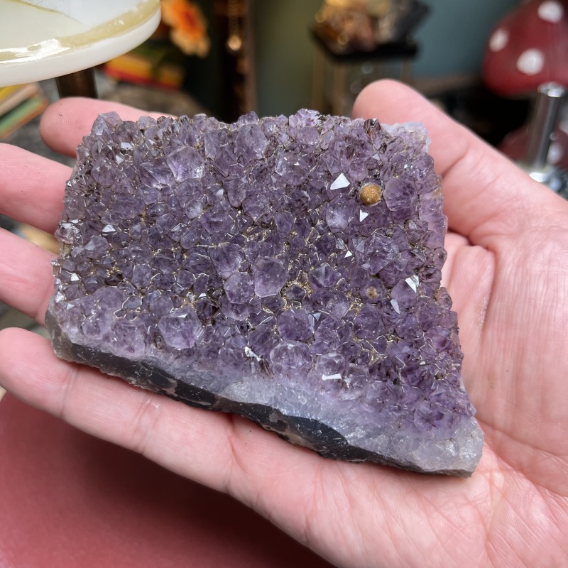Brazilian Amethyst Cluster - Natural Untreated - Weight 502 Grams - AU017