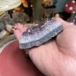 Brazilian Amethyst Cluster - Natural Untreated - Weight 502 Grams - AU017