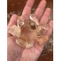Quartz Crystal points Brazil - 100 Grams