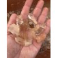 Quartz Crystal points Brazil - by the weight