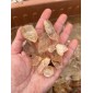 Quartz Crystal points Brazil - by the weight