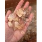 Quartz Crystal points Brazil - by the weight