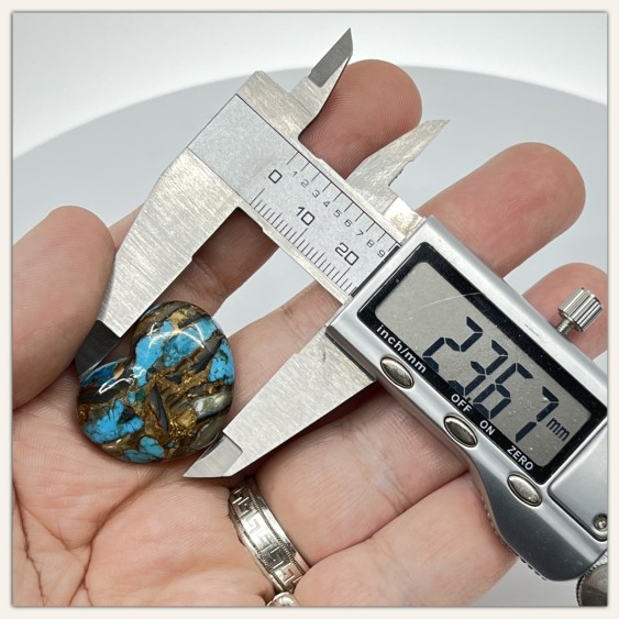 Amerikanischer Naturtürkis mit natürlicher Austernschale