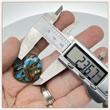 天然美国绿松石配天然牡蛎壳