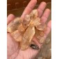 Quartz Crystal points Brazil - by the weight