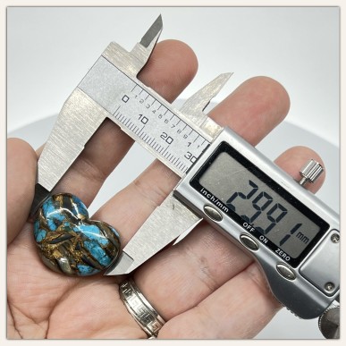 فيروز أمريكي وصدف طبيعيين مدموجين