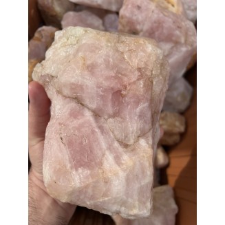 中浅色巴西玫瑰夸脱 - 按重量计算