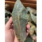 Aventurine Medium to dark color Brazil - by the weight