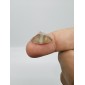1 weight 2.10 Grams