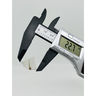 9 - weight 2.85