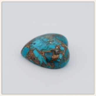 Turquoise américaine avec coquille d'huître naturelle - percée sur le dessus