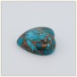 American Turquoise with Natural Oyster Shell - Drilled on top American Turquoise with Natural Oyster Shell - Drilled on top